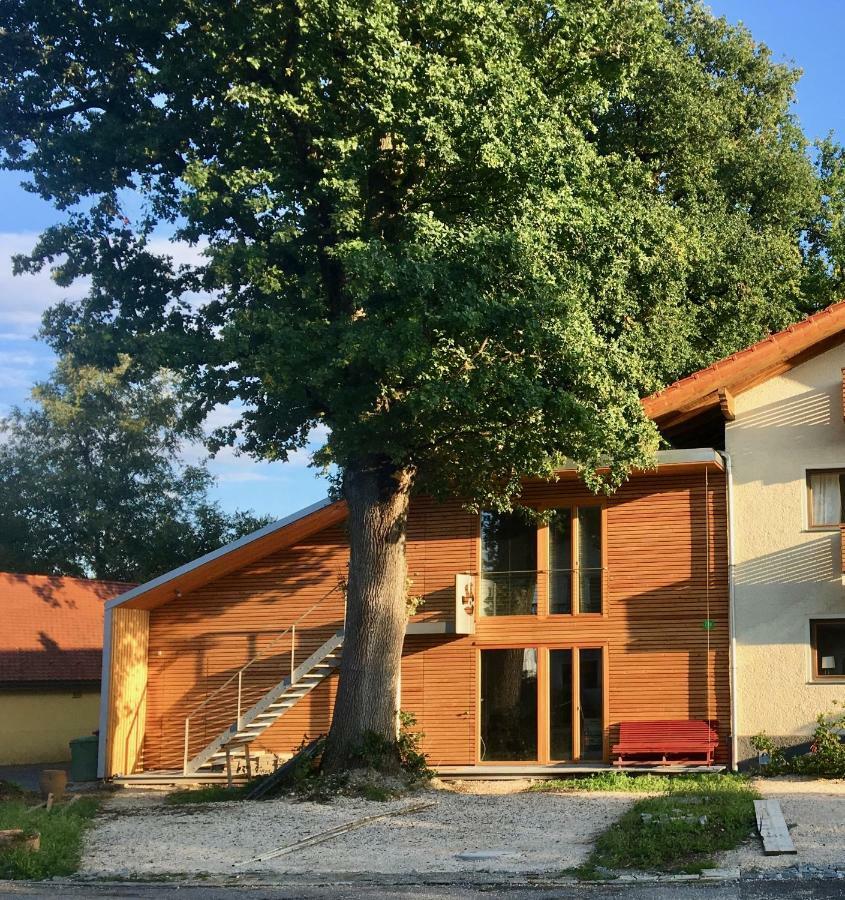 Апартаменты Loft Mit Dachterrasse Бернау-ам-Кимзее Экстерьер фото
